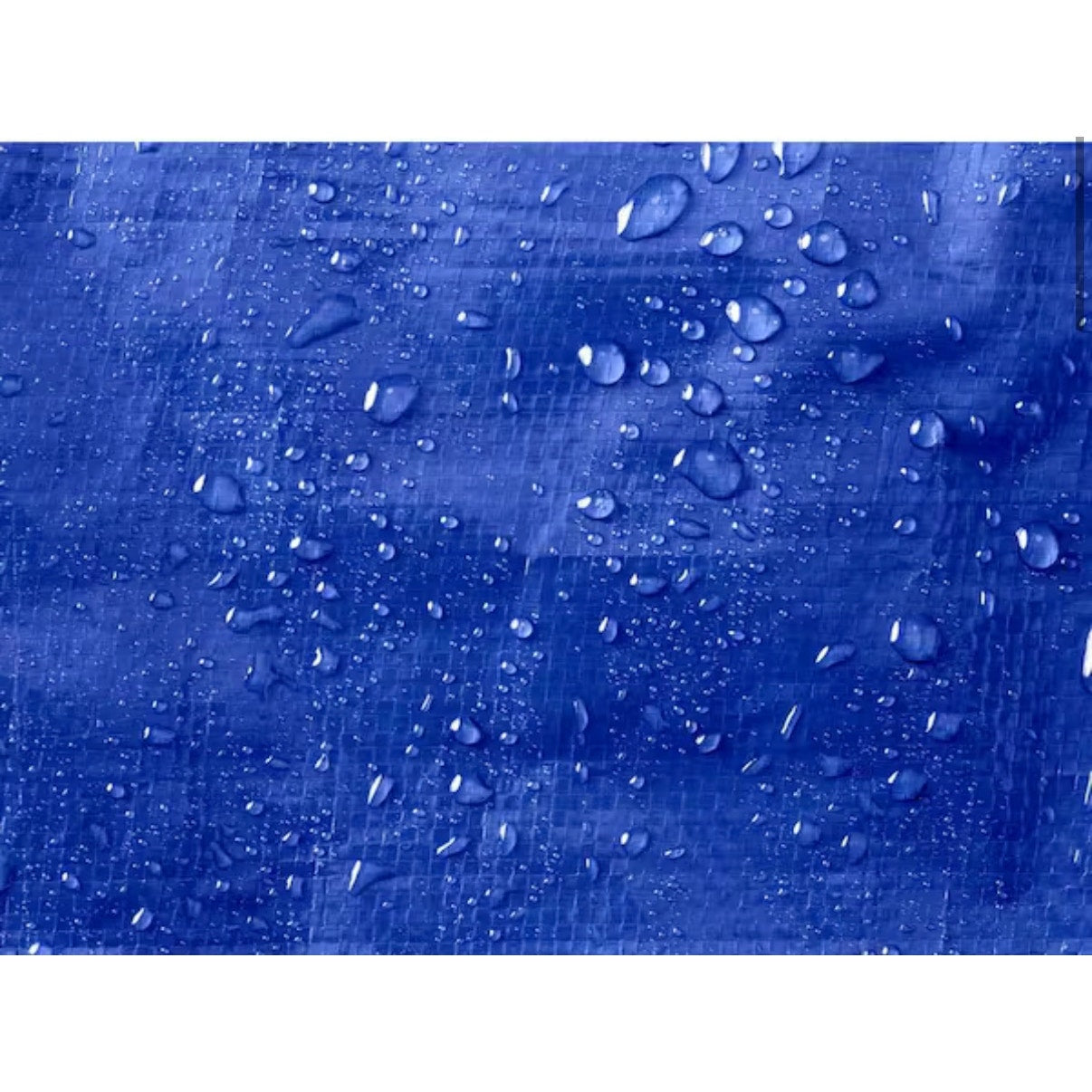 Everbilt 20 x 30 Blue Medium Duty Tarp New
